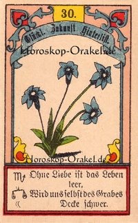 Die Lilien im Löwe Monatshoroskop an diesem Tag