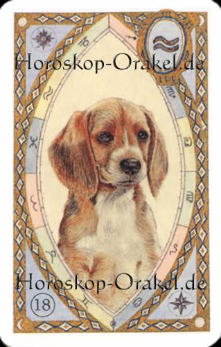 Der Hund, Löwe Monatshoroskop